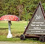 Pilzmuseum
