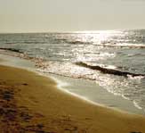 Am Strand